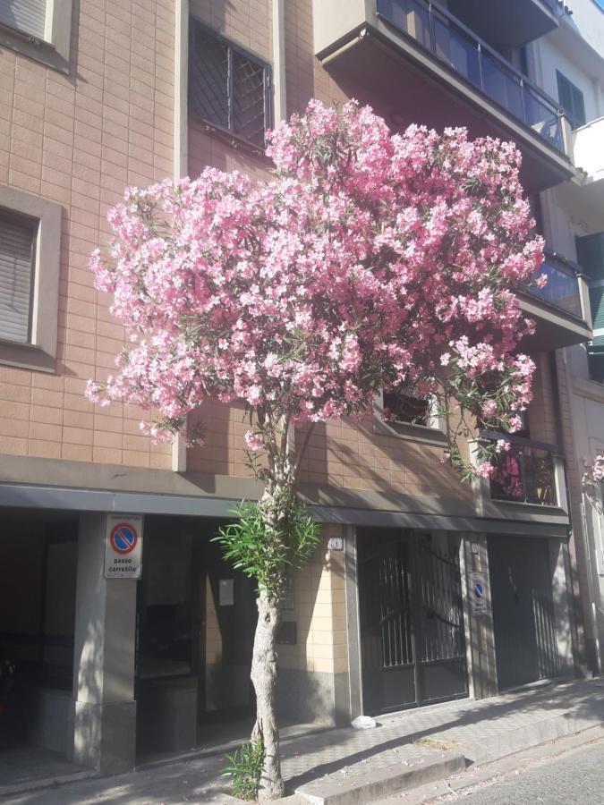 L'Oleandro Casa Vacanze Apartment เน็ตตูโน ภายนอก รูปภาพ